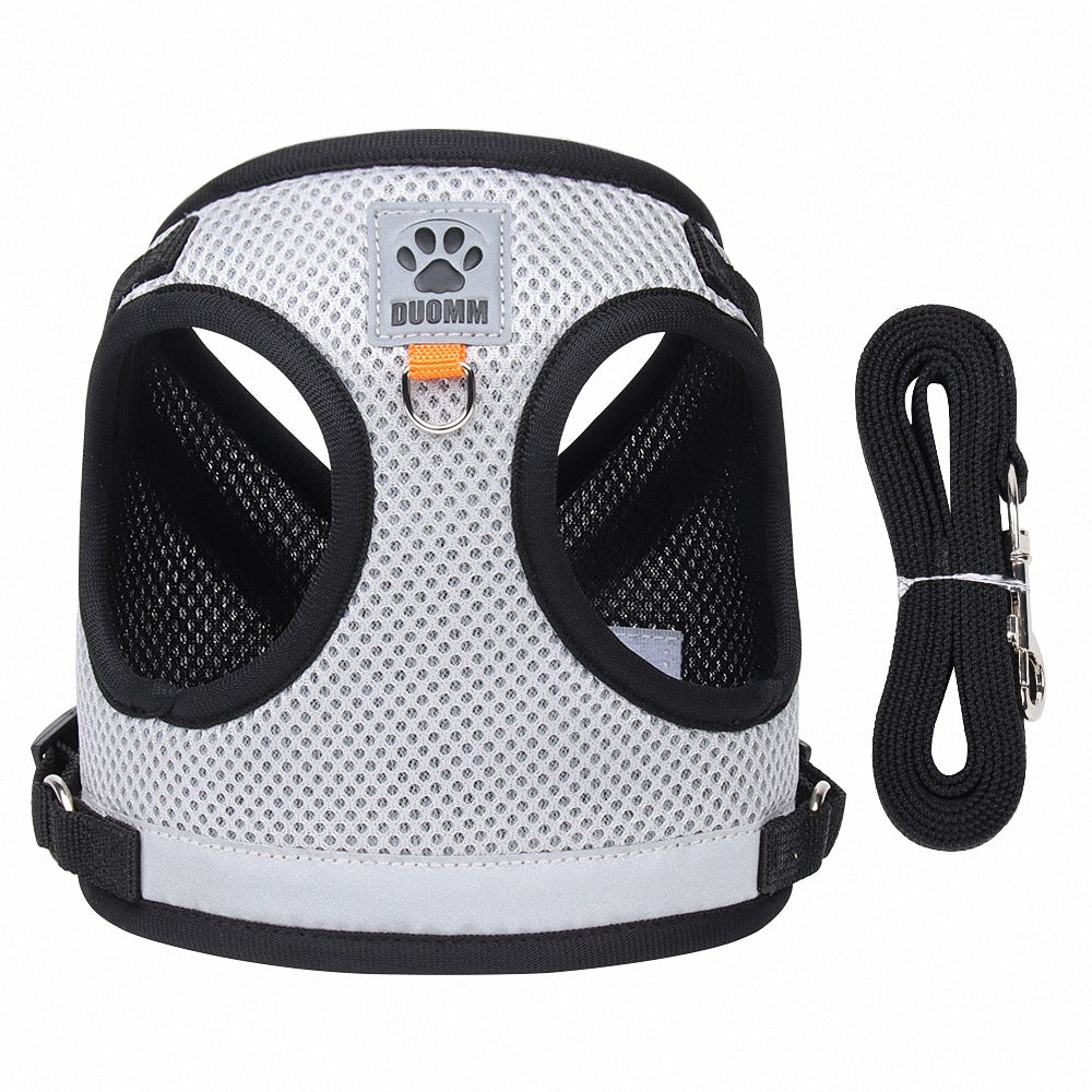 Breathable mesh pet harness and lead set, ideal for everyday use