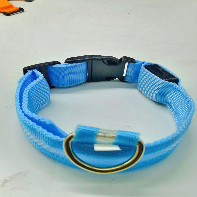 USB rechargeable LED collar for dogs and cats in Orange, in a home setting