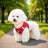 Breathable vest harness for small dogs and cats, main product photo