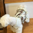 Plaid dog dress with lace trim, in Brown Plaid, image 2