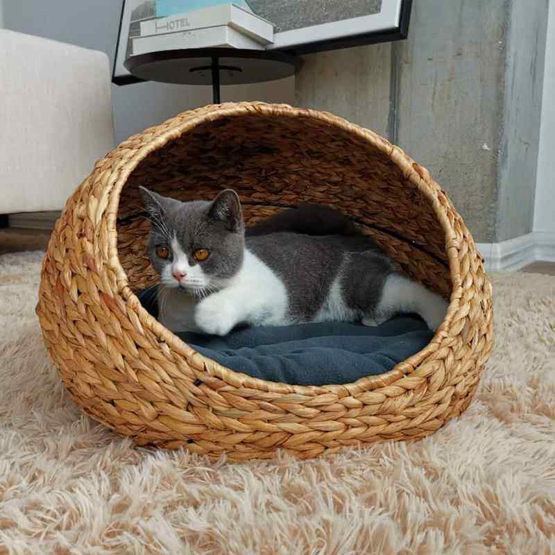Hand woven rattan cat bed with removable washable cushion, view 1 of 23