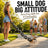 Faux chain collar and lead photo prop, ideal for pet photos and dress-up
