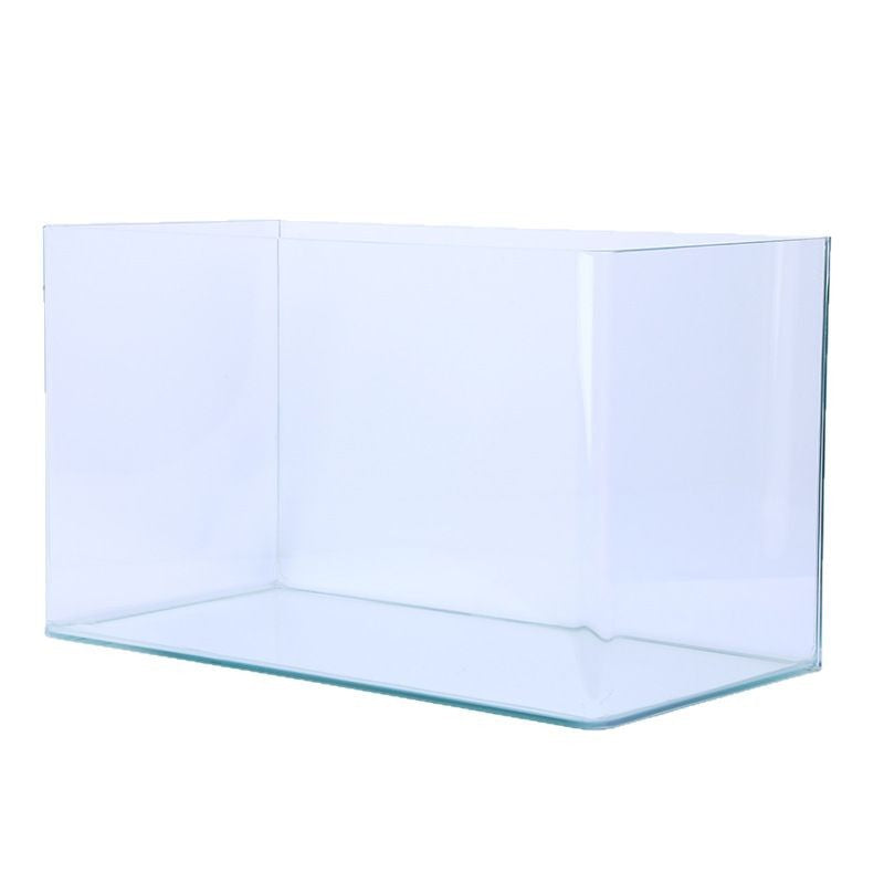 Curved glass goldfish tank on a desk with plants, view 5