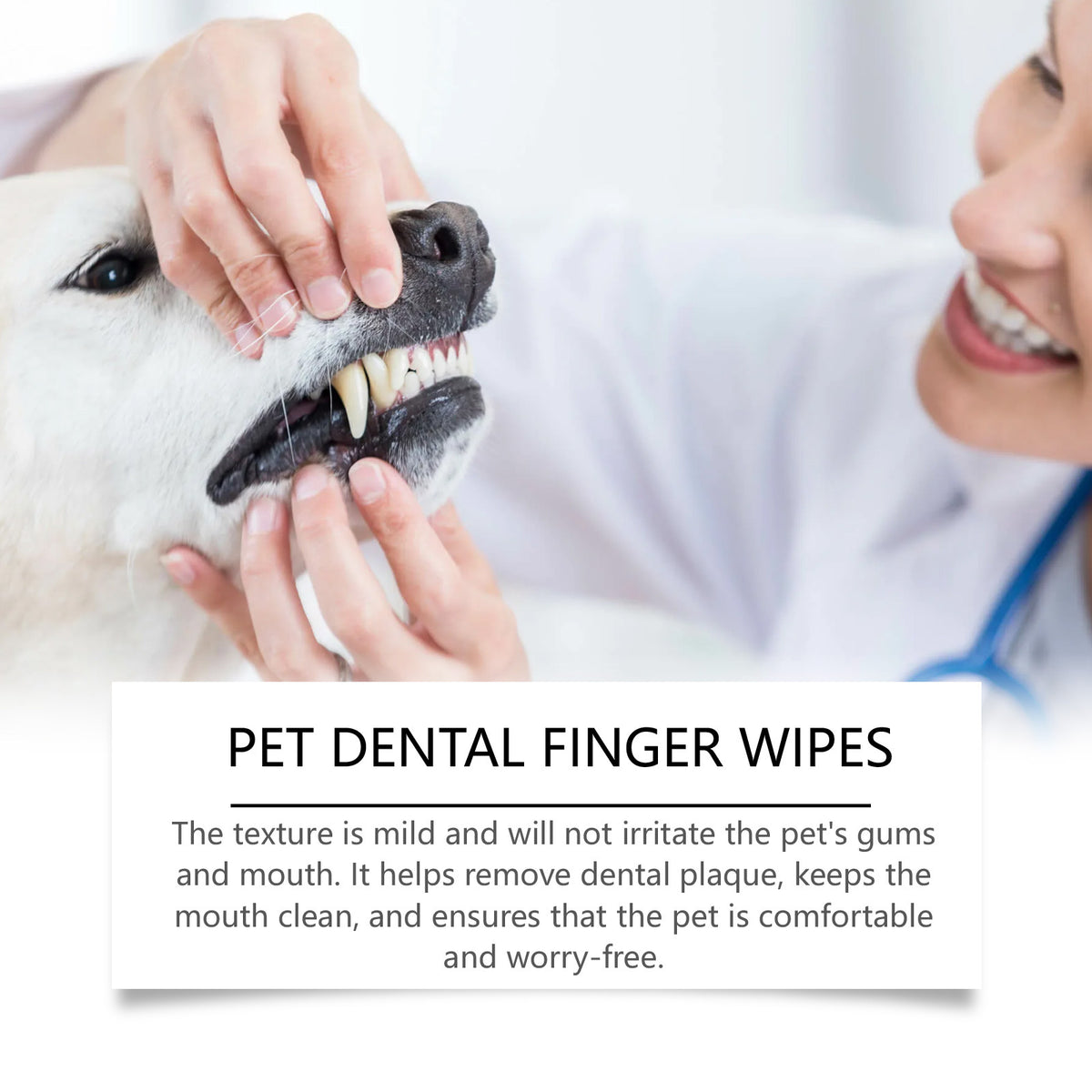 Pet Finger Toothbrush Set for Dogs and Cats, Disposable