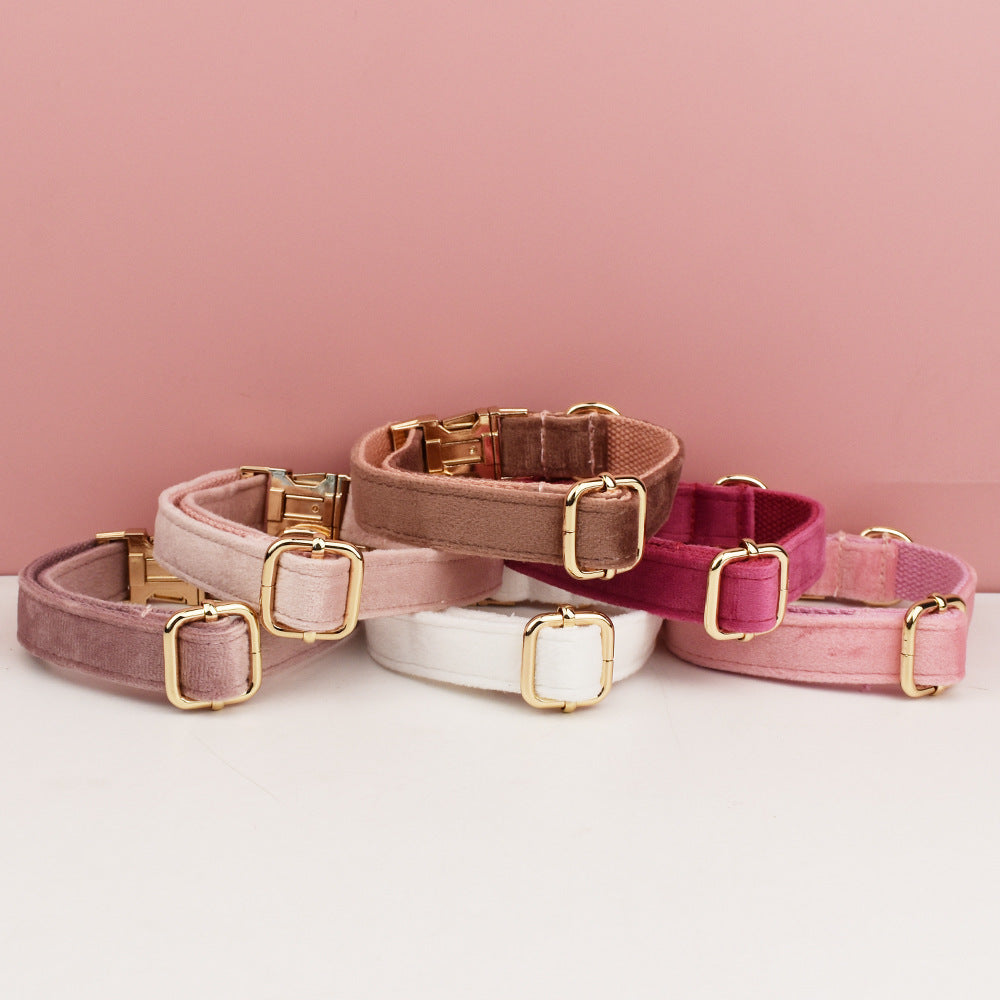 Velvet dog collars in burgundy, purple and white colour options
