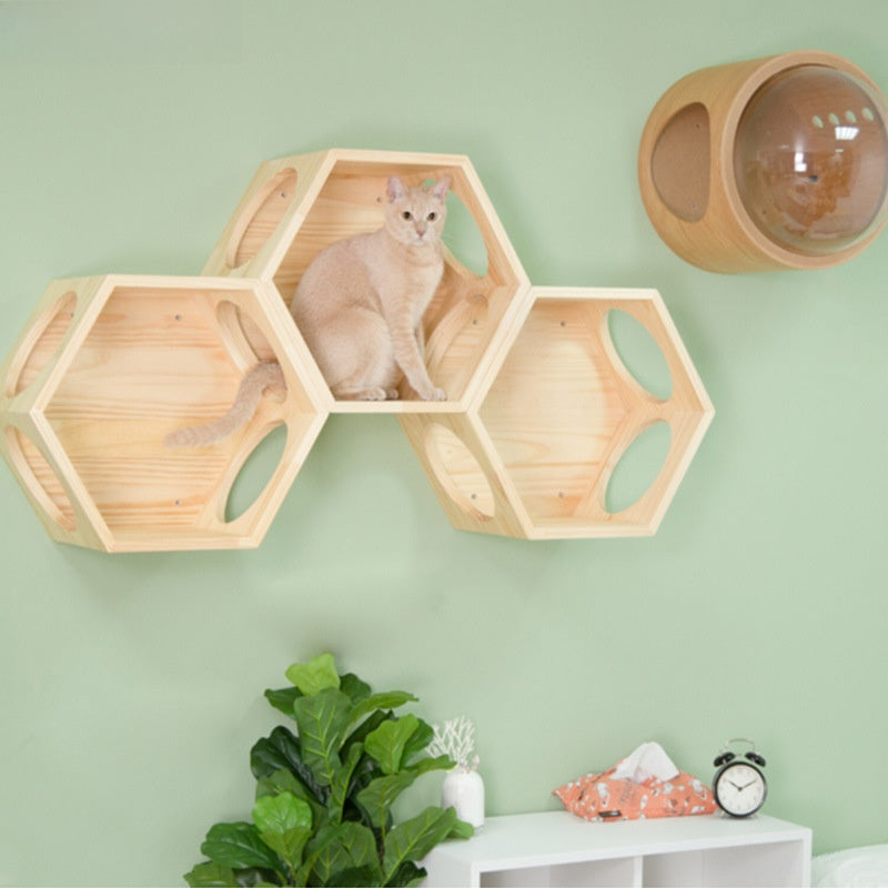 Cat sitting on a wooden wall shelf perch