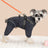 Windproof four leg dog coats in five colours