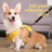 Reflective nylon vest dog harness, available from Pet Royale UK