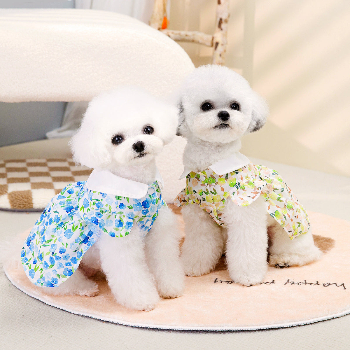 Floral garden print dress for small pets for dogs and cats, image 1