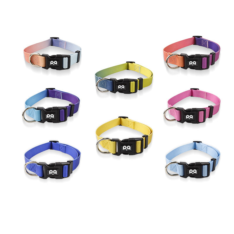 Three piece dog harness, collar and lead set in orange gradient