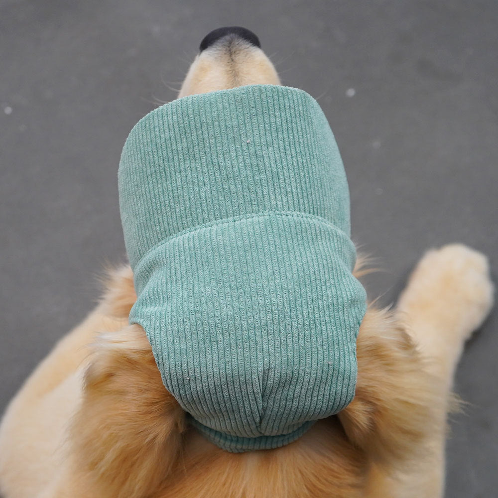 Dog baseball cap with ear openings in Green Mesh Cap, in use with a pet