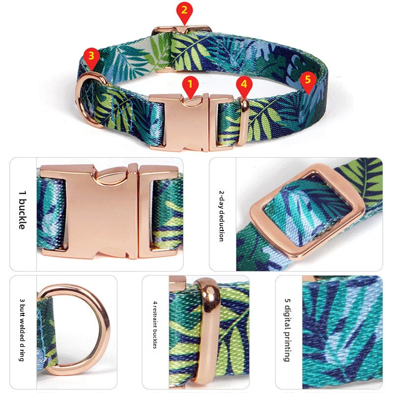 Pink zebra print dog collar with rose gold hardware