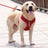 Mesh reflective dog harness, main product photo from Pet Royale UK