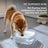 Non-Spill Floating Water Bowl for Dogs with Splash-Proof Design and Filter Pack Options