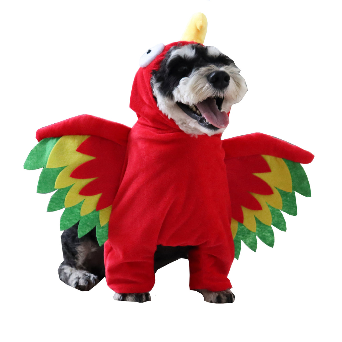 Cat dressed in a funny red and brown turkey costume