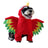 Cat dressed in a funny red and brown turkey costume