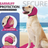 Neoprene dog ear cover snood in rose red, view 1