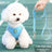 Breathable vest harness for small dogs and cats, ideal for everyday use