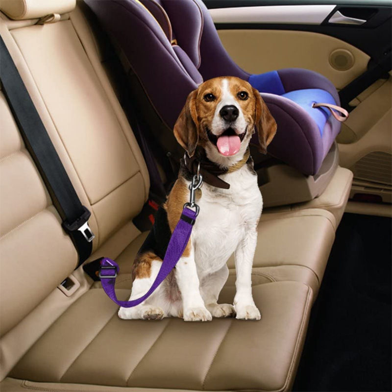 Adjustable dog car seat belt lead in 10 colour options