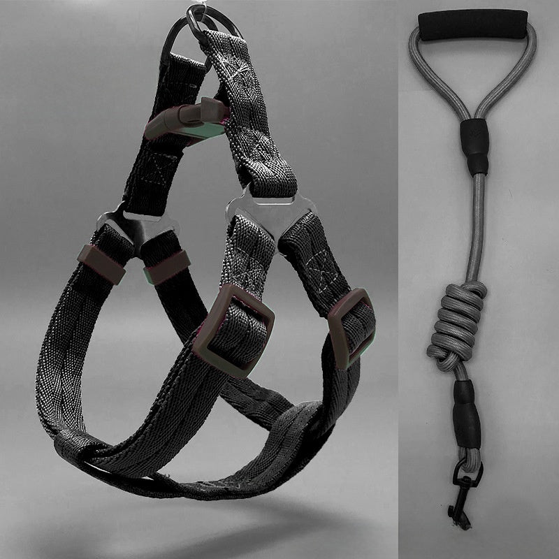 Padded nylon dog harness set with matching collar and lead in red
