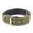 Foam padded adjustable dog collar, ideal for everyday use
