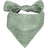 Reversible polyester dog bandana in fun prints in Flowers, side view