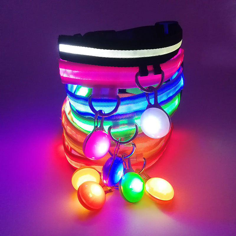 LED dog collars in yellow, green, blue, white and pink
