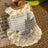 Blue check lace summer vest for small pets for dogs and cats, image 6