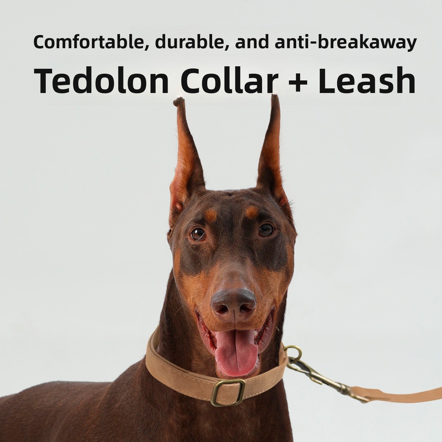 Retro PU leather dog collar and lead, 3 sizes available