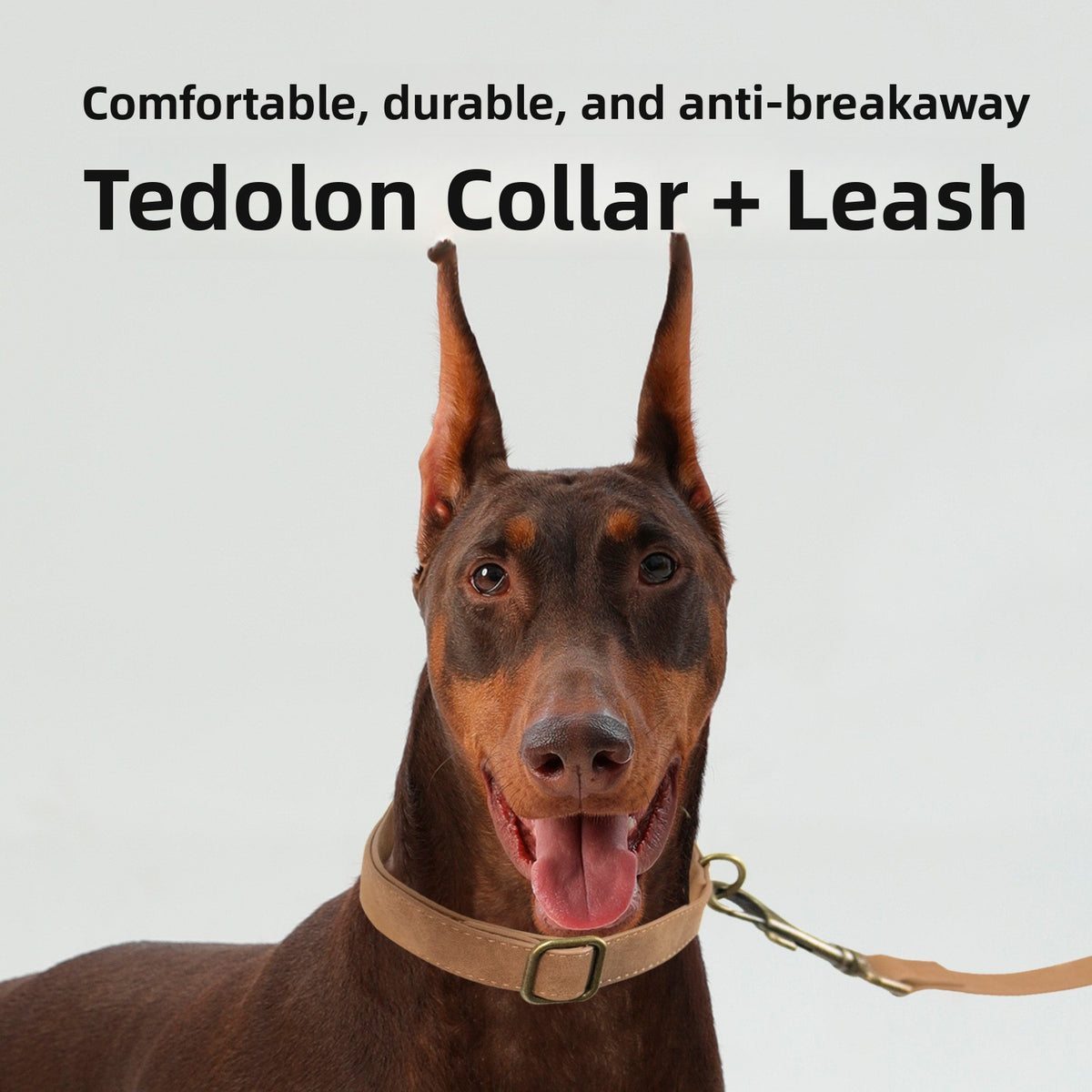Retro PU leather dog collar and lead, 3 sizes available