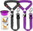 Shock-absorbing bungee lead for large dogs, ideal for everyday use