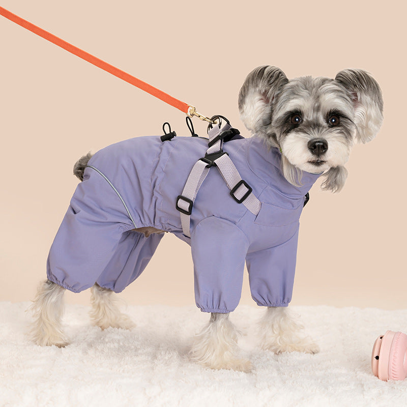 Dog wearing a red windproof four leg coat outdoors
