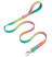 Gradient colour no pull dog harness with matching lead