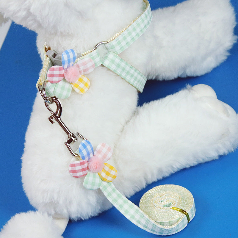 Printed chest harness and lead set for small dogs, available from Pet Royale UK