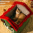 Enclosed horned pet nest bed, sizes from Medium 1.5-4kg
