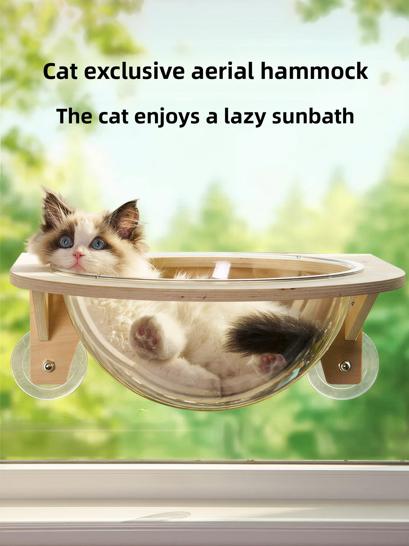 Suction cup window cat bed with clear capsule, main product photo