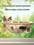 Suction cup window cat bed with clear capsule, main product photo