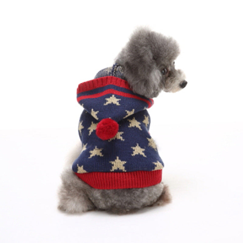 Blue knitted wool jumper for dogs and cats in Blue, in a home setting