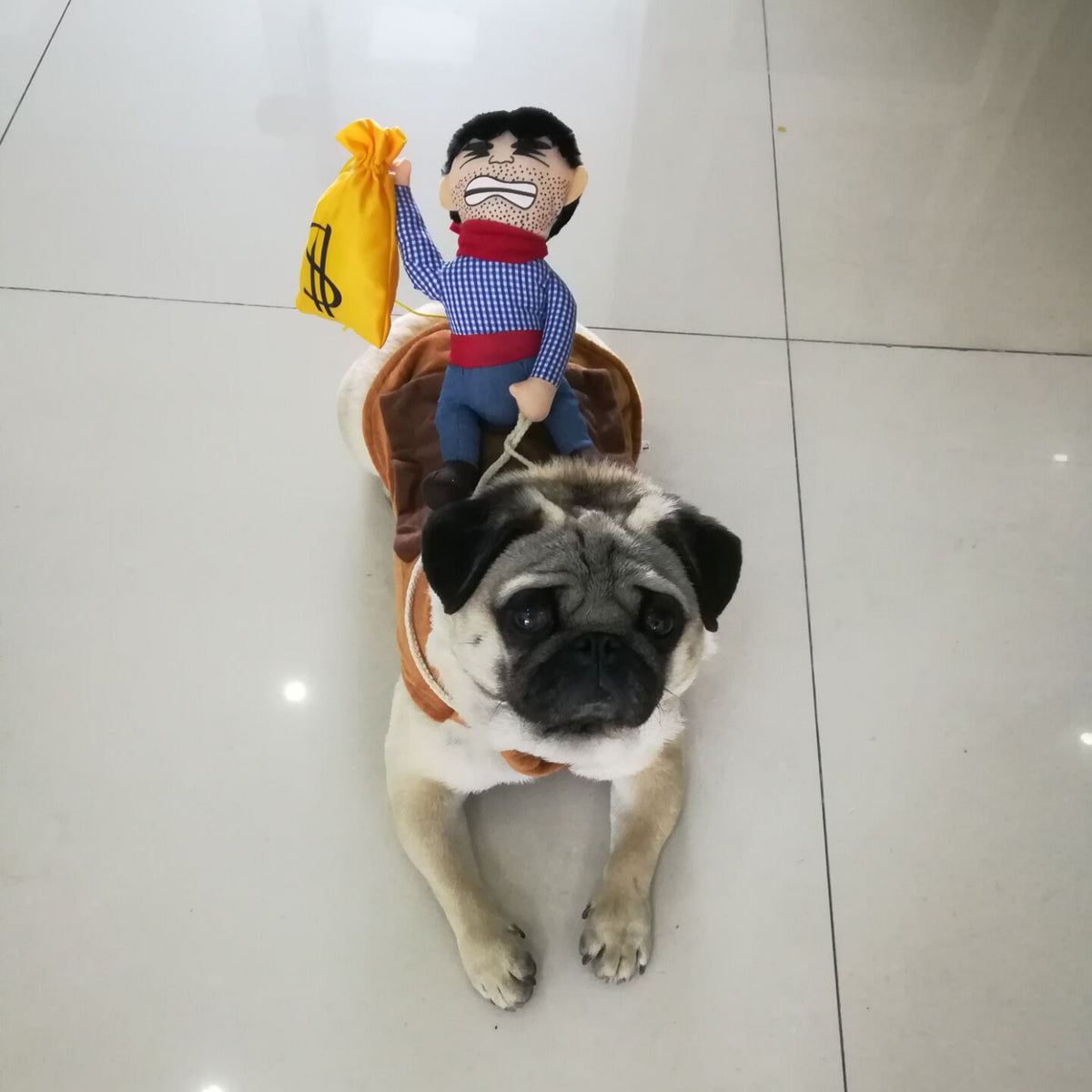 Funny rider costume for dogs, available in 4 styles, image 8
