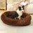 Raised edge cotton dog bed with curved sides and soft cushion, photo 48