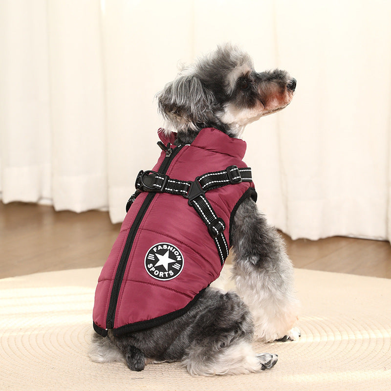 Padded cotton dog jacket with built-in lead vest in Green, top view