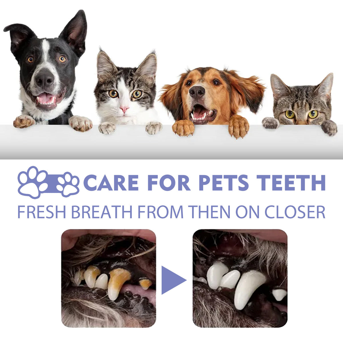 Teeth Cleaning Spray for Cats and Dogs, Fresh Breath Care
