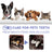 Teeth Cleaning Spray for Cats and Dogs, Fresh Breath Care