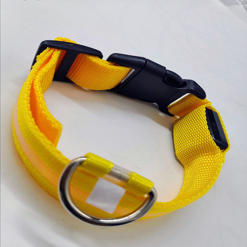 USB rechargeable LED collar for dogs and cats in White, close-up detail