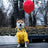 British retro thick dog raincoat with cotton lining in Yellow, front view
