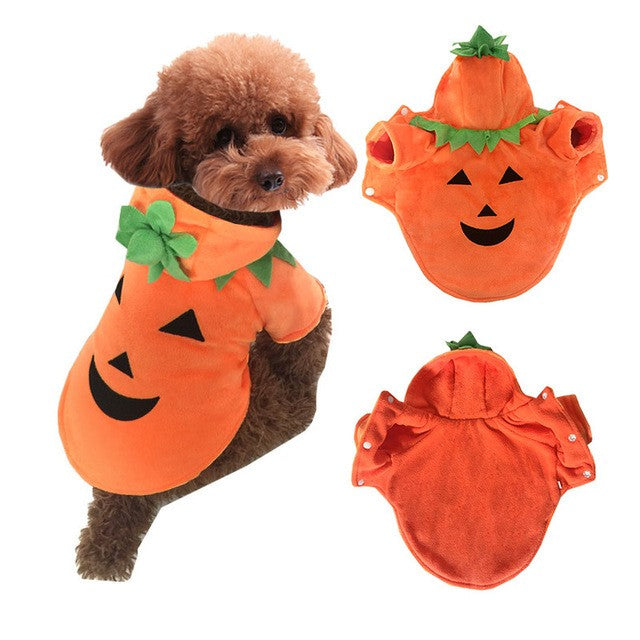 Halloween pumpkin fleece costume on a small dog