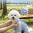 Four leg dog coverall with belly guard, available in 9 styles, image 1