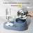 Automatic Pet Food and Water Bowl