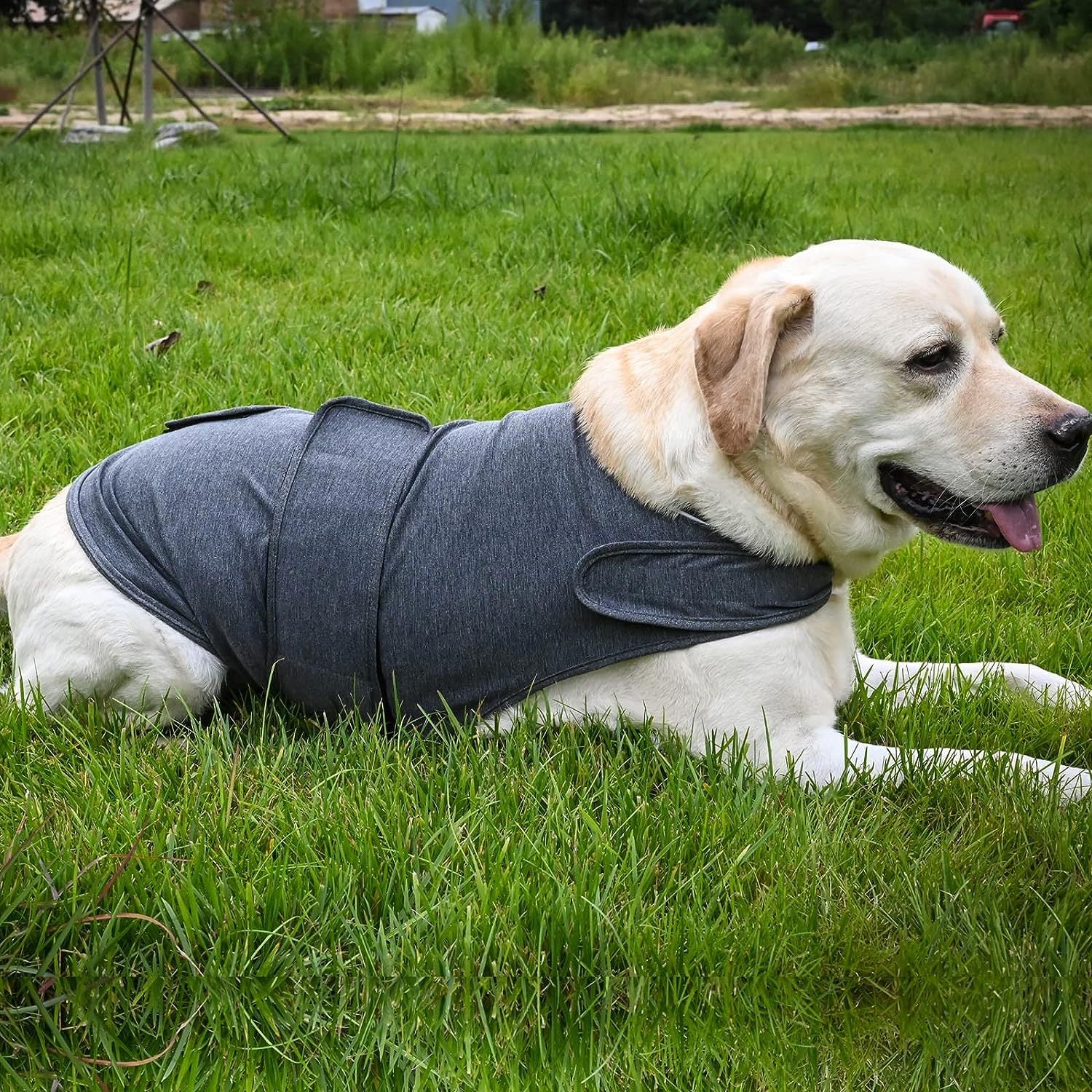 Knitted dog comfort wrap vest, available in 2 colours, image 2