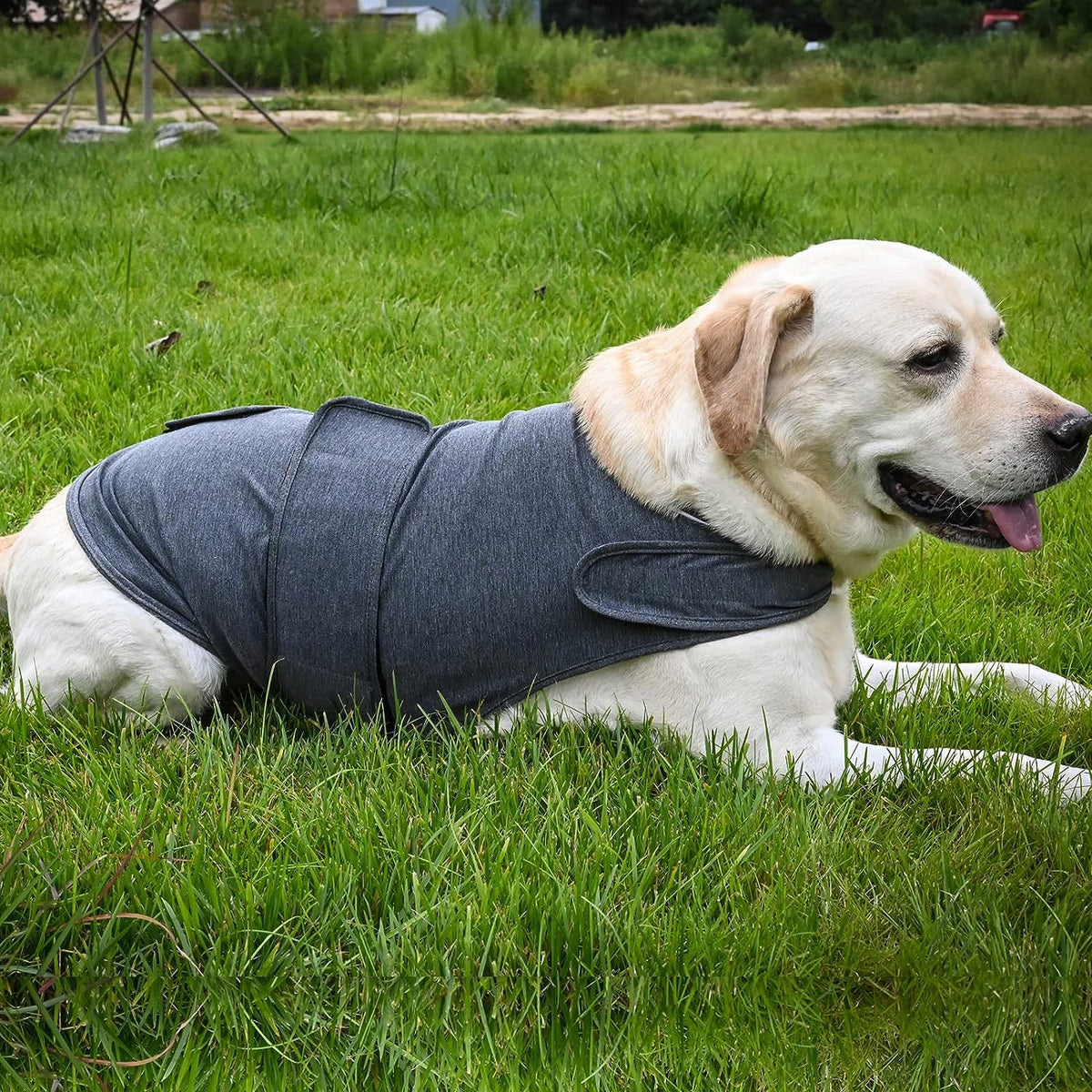 Knitted dog comfort wrap vest, available in 2 colours, image 2